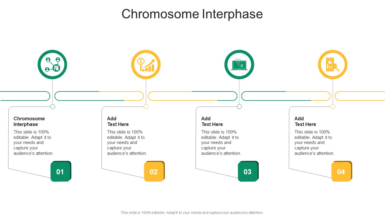 Chromosome Interphase In Powerpoint And Google Slides Cpb