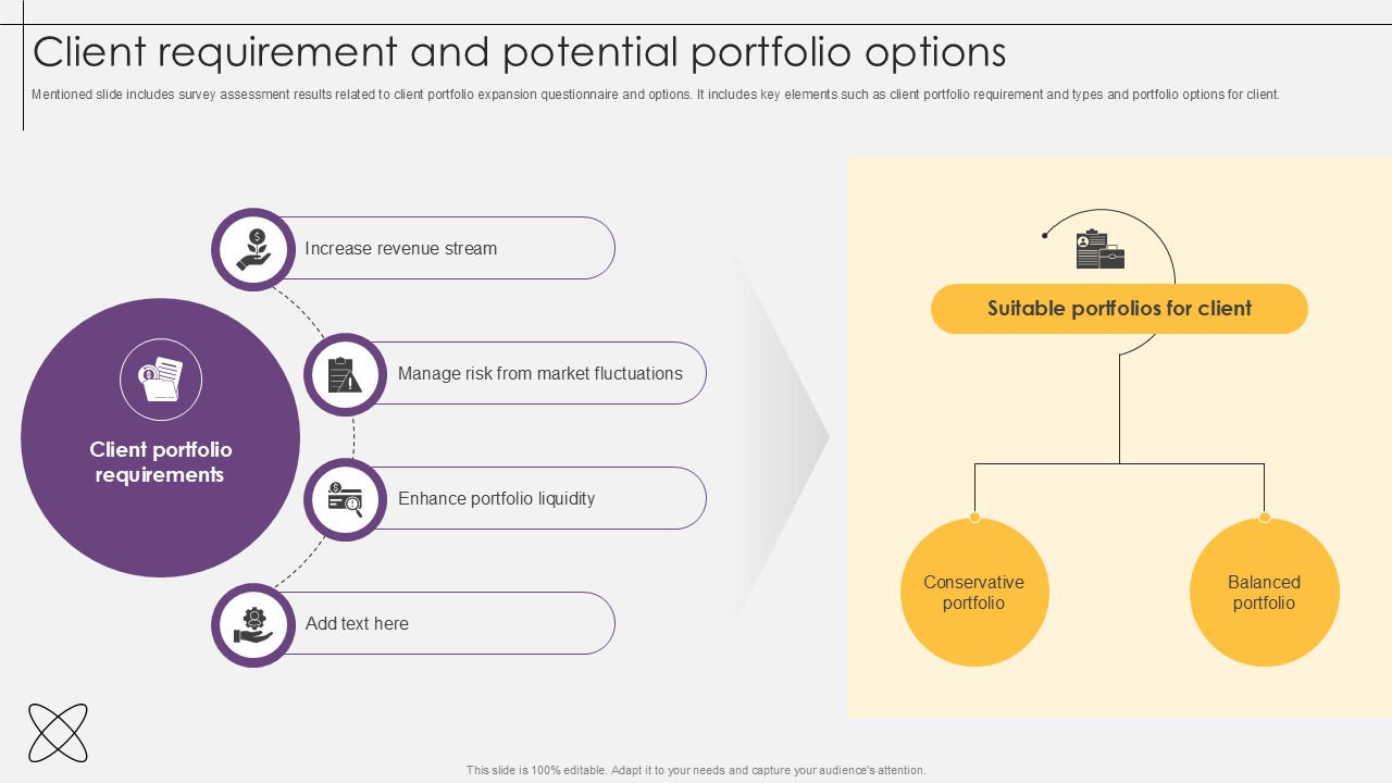 Client Requirement And Potential Portfolio Options Investment Fund PPT Slides