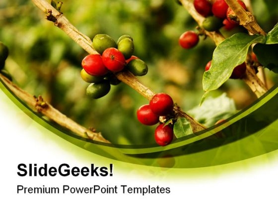 Coffee Plants Nature PowerPoint Templates And PowerPoint Backgrounds 0311
