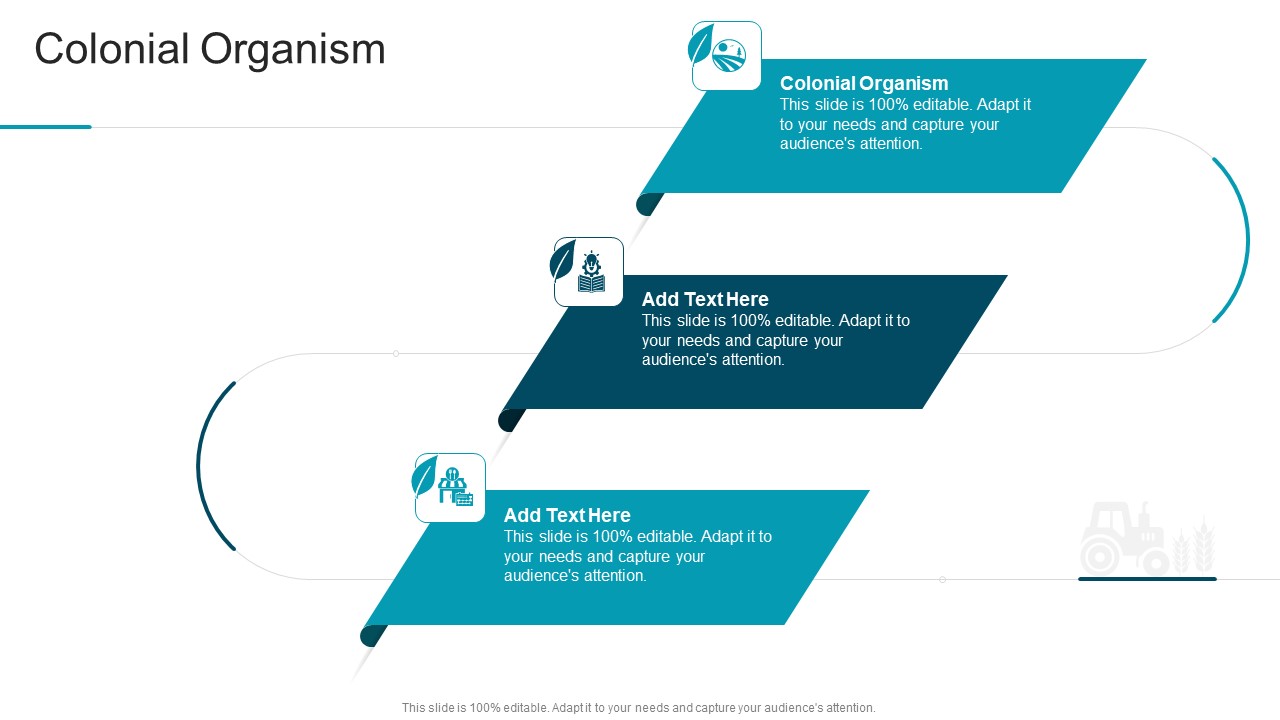 Colonial Organism In Powerpoint And Google Slides Cpb