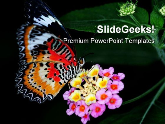 Colorful Butterfly Animals PowerPoint Templates And PowerPoint Backgrounds 0211