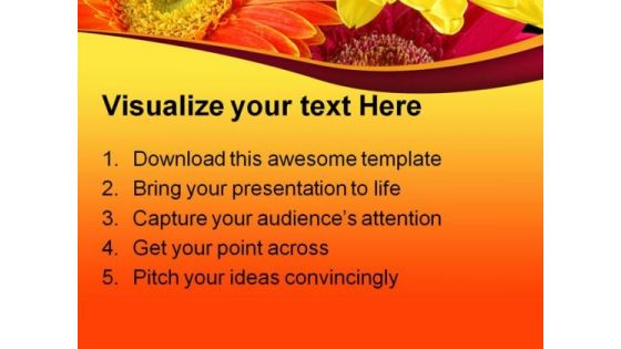 Colorful Gerber Daisies Beauty PowerPoint Templates And PowerPoint Backgrounds 0211
