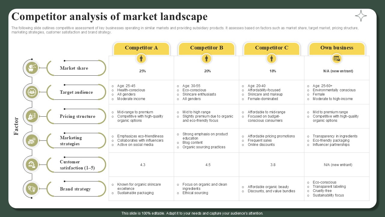 Competitor Analysis Of Market Landscape Successful Launch Ppt Example