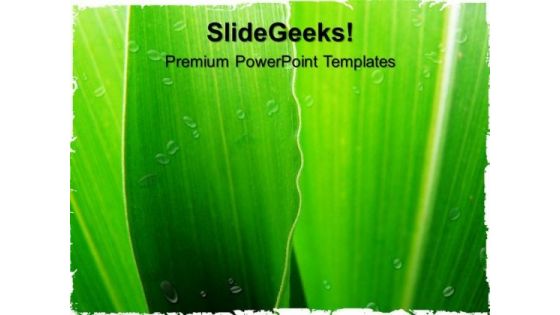 Corn Leaf Nature PowerPoint Templates And PowerPoint Themes 0512