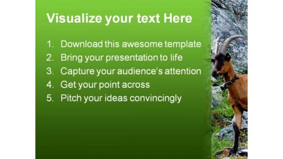 Couple Of Goats Animals PowerPoint Templates And PowerPoint Backgrounds 0111