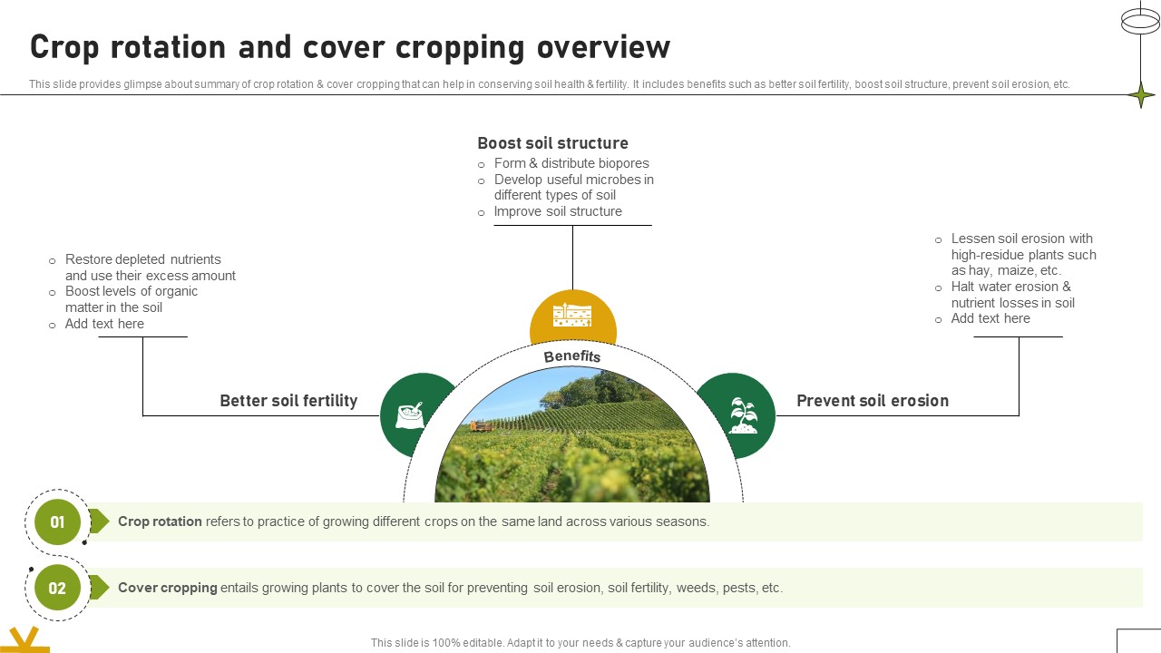 Crop Rotation And Cover Cropping Overview Adopting Sustainable Farming Techniques