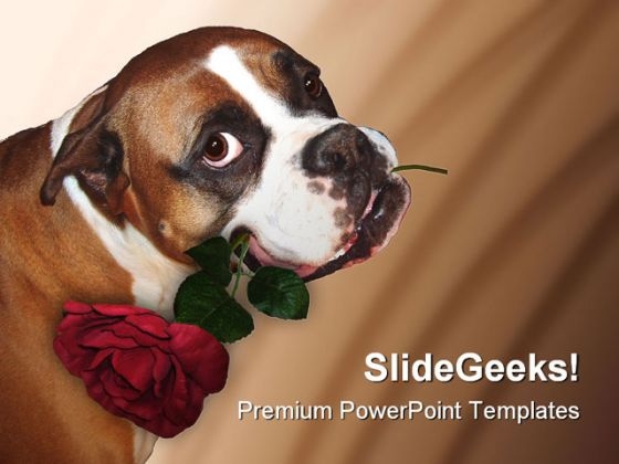 Cute Dog Animals PowerPoint Backgrounds And Templates 1210