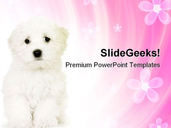 Cute Dog Animals PowerPoint Templates And PowerPoint Backgrounds 0711