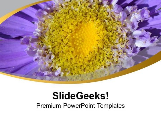 Daheliya Flower Background Bright Color Theme PowerPoint Templates Ppt Backgrounds For Slides 0513