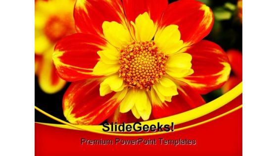 Dahlia Beauty PowerPoint Templates And PowerPoint Backgrounds 0311