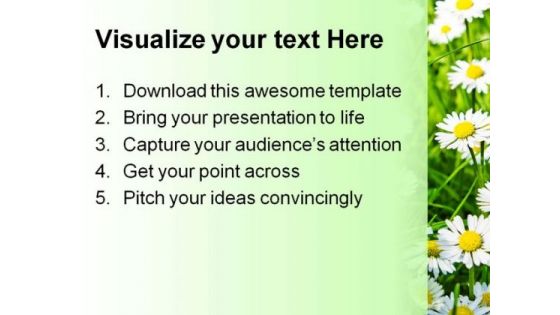 Daisies01 Beauty PowerPoint Template 1110
