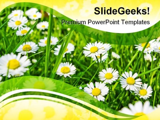 Daisies01 Beauty PowerPoint Template 1110