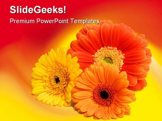 Daisies Beauty PowerPoint Background And Template 1210