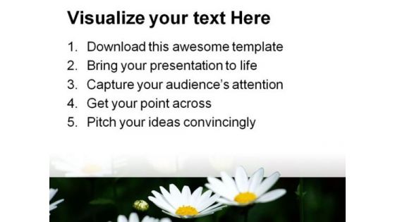Daisies Nature PowerPoint Templates And PowerPoint Backgrounds 0311