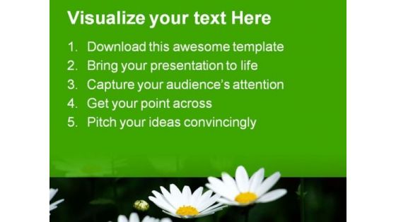 Daisies Nature PowerPoint Templates And PowerPoint Backgrounds 0311