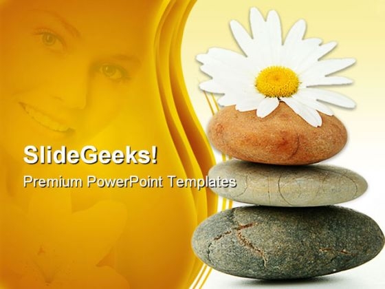 Daisy And Stones Nature PowerPoint Templates And PowerPoint Backgrounds 0311