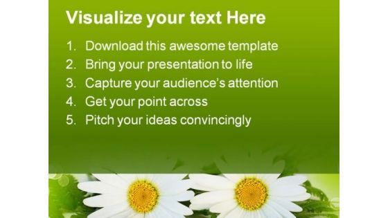 Daisy Nature PowerPoint Templates And PowerPoint Backgrounds 0311