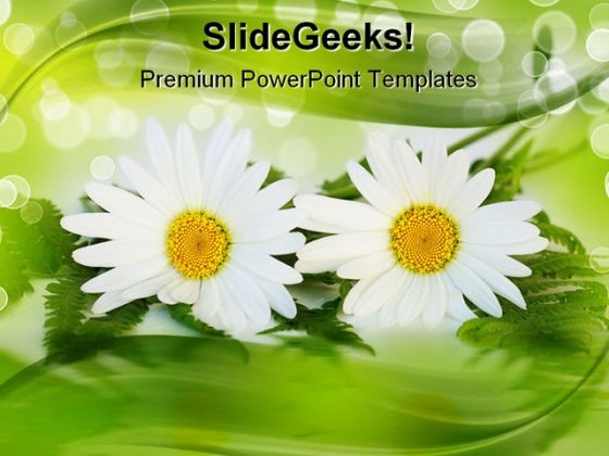 Daisy Nature PowerPoint Templates And PowerPoint Backgrounds 0311