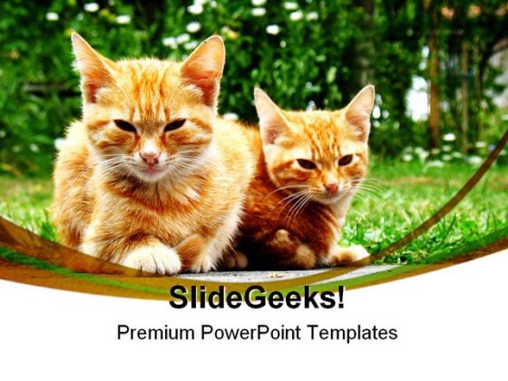 Dangerous Young Cats Animals PowerPoint Themes And PowerPoint Slides 0211