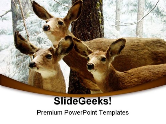 Deer Animals PowerPoint Themes And PowerPoint Slides 0211