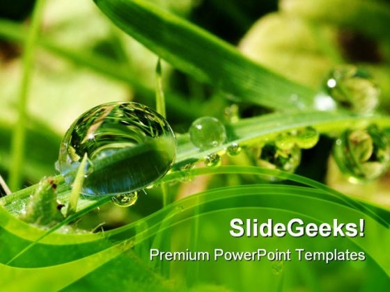 Dew Drops On Leaves Nature PowerPoint Templates And PowerPoint Backgrounds 0411