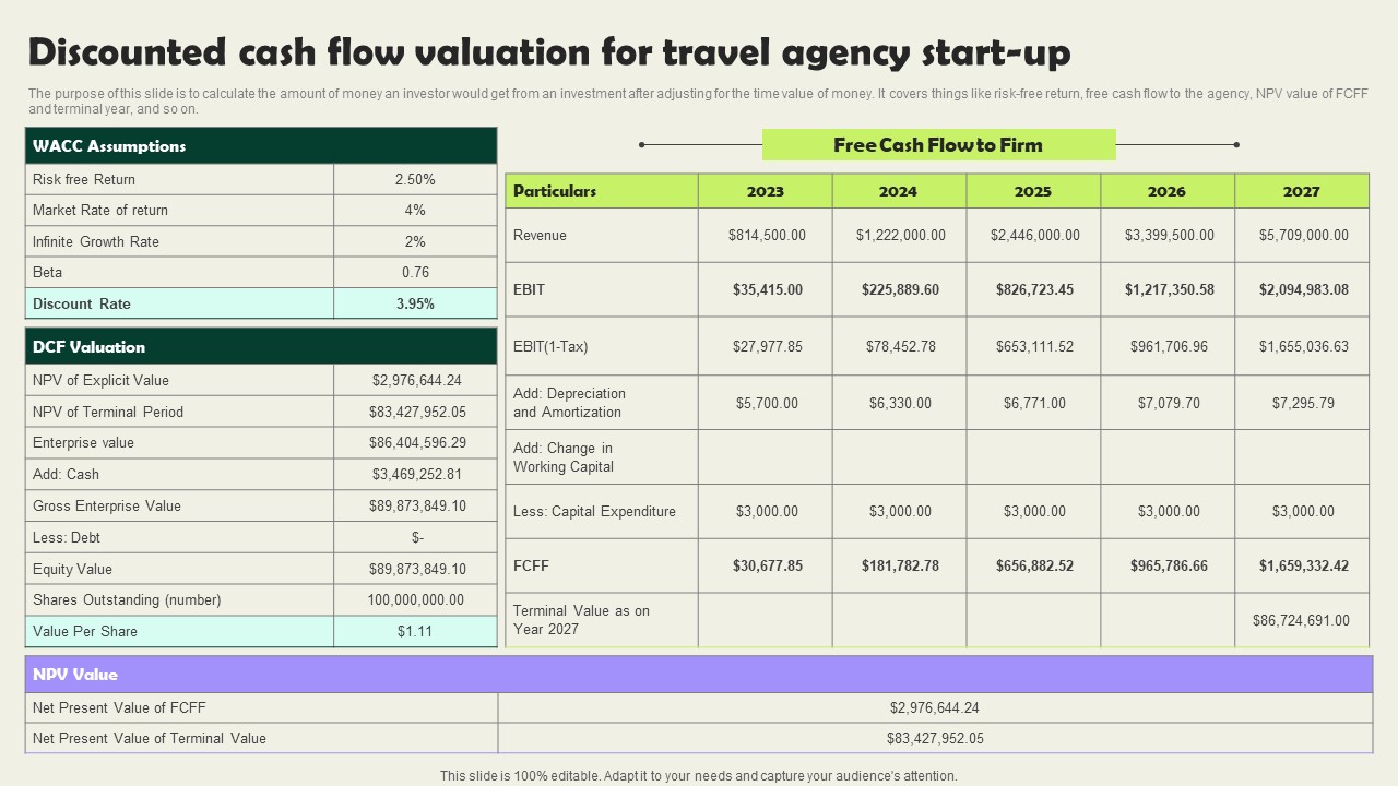 Discounted Cash Flow Valuation For Travel Agency Start Up Vacation Planning Business Professional Pdf
