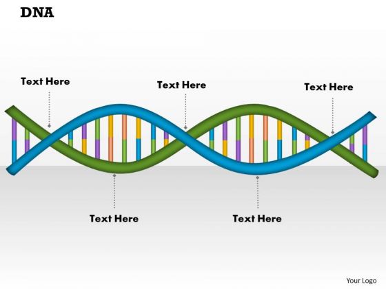 Dna PowerPoint Presentation Template