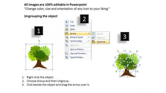 Download Editable Family Tree PowerPoint Templates