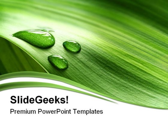 Drop And Leaf Nature PowerPoint Template 0910