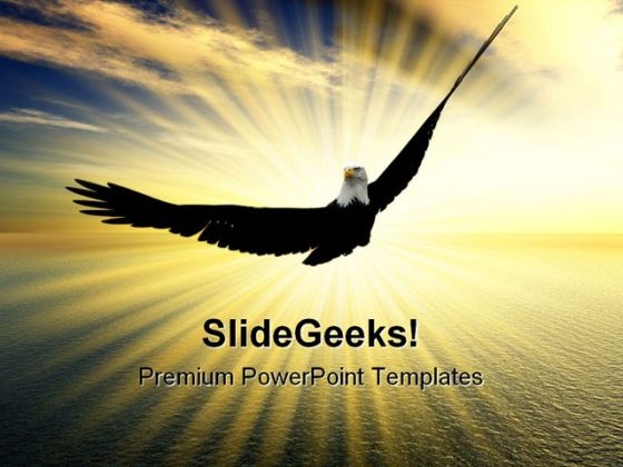 Eagle Animals Nature PowerPoint Background And Template 1210