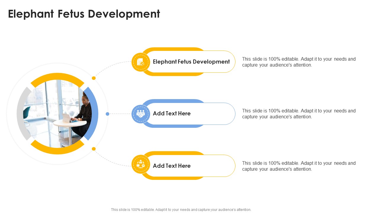 Elephant Fetus Development In Powerpoint And Google Slides Cpb