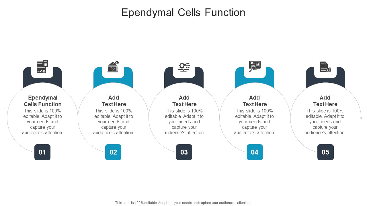 Ependymal Cells Function In Powerpoint And Google Slides Cpb