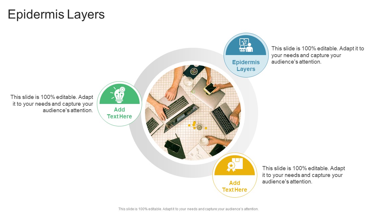 Epidermis Layers In Powerpoint And Google Slides Cpb