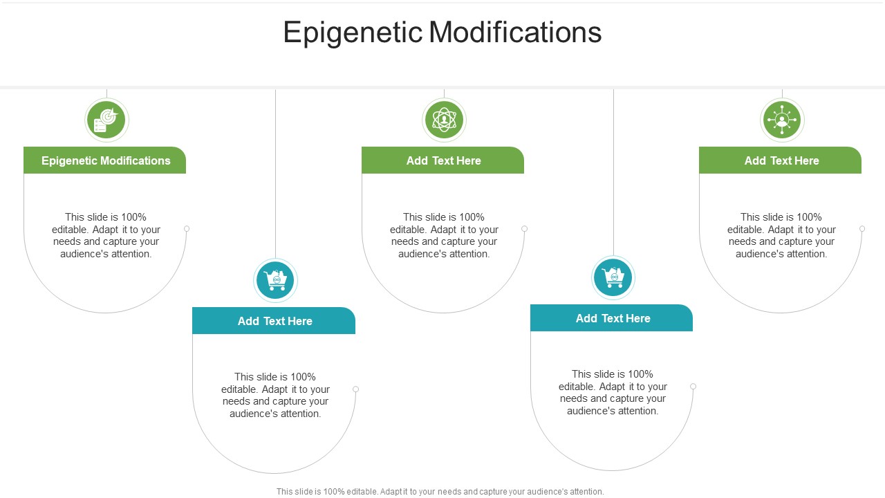 Epigenetic Modifications In Powerpoint And Google Slides Cpb