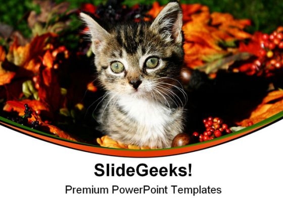 Fall Kitty Animals PowerPoint Themes And PowerPoint Slides 0511