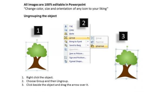 Family Tree Network PowerPoint Templates