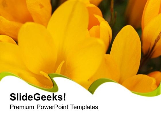 Ferns And Petals PowerPoint Templates Ppt Backgrounds For Slides 0513