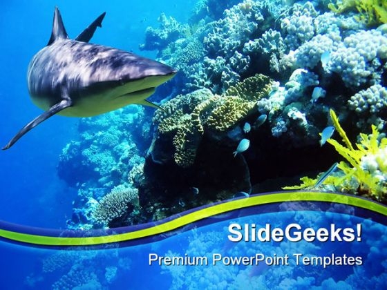 Fishreef Animal PowerPoint Template 1110