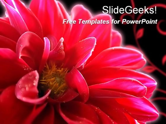 Flower01 0510