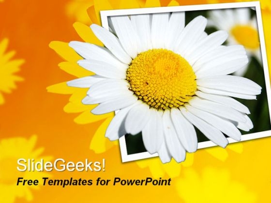 Beautiful Flower PowerPoint Template