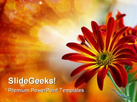 Flower Beauty Nature PowerPoint Backgrounds And Templates 1210