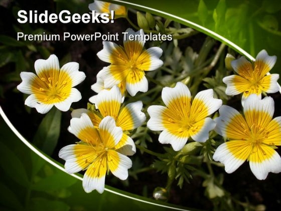 Flower Nature PowerPoint Templates And PowerPoint Backgrounds 0311