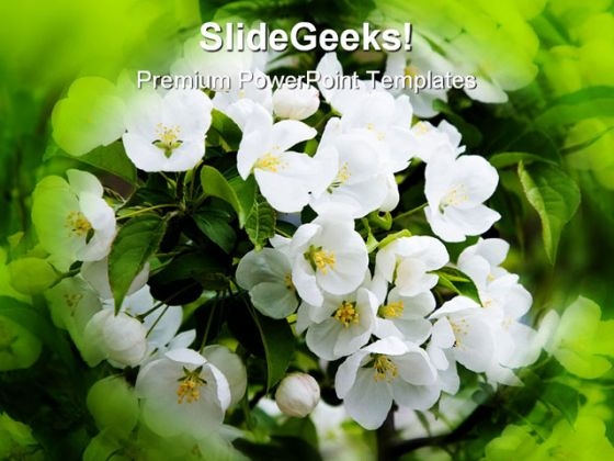 Flower Petals NaturePowerPoint Template 0610
