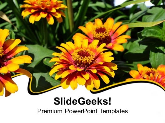 Flowers Beauty Of Nature Abstract PowerPoint Templates Ppt Backgrounds For Slides 0513