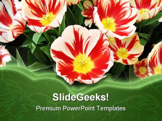 Flowers Beauty PowerPoint Template 1110