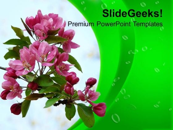 Flowers For Greeting Business Clients PowerPoint Templates Ppt Backgrounds For Slides 0313