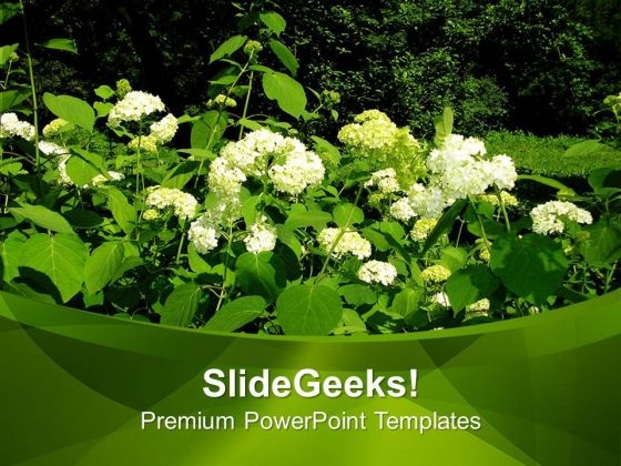 Flowers In Garden Nature PowerPoint Templates Ppt Backgrounds For Slides 0513
