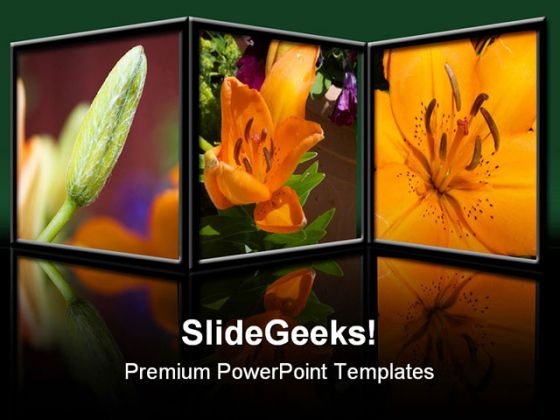 Flowers Nature PowerPoint Template 0610