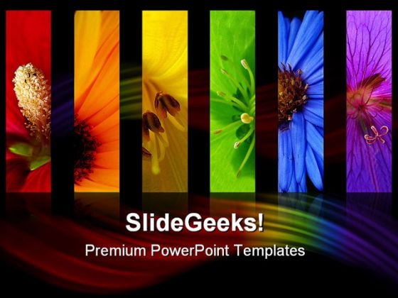 Flowers Rainbow Beauty PowerPoint Templates And PowerPoint Backgrounds 0611
