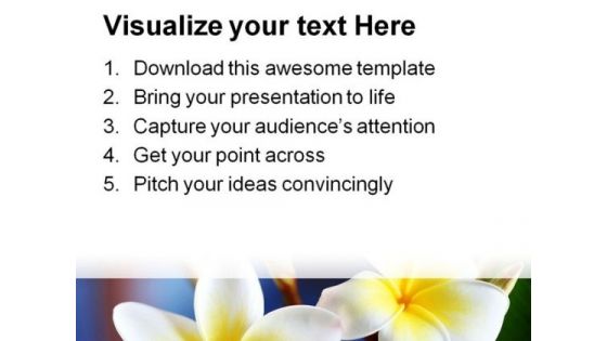 Frangipani Flower Beauty PowerPoint Templates And PowerPoint Backgrounds 0311